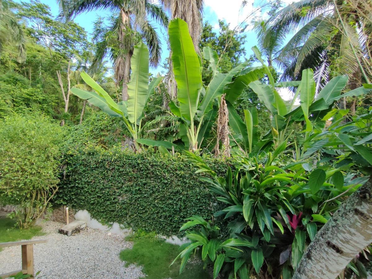 Aparthotel House Jardin Del Caribe Las Terrenas Exteriér fotografie