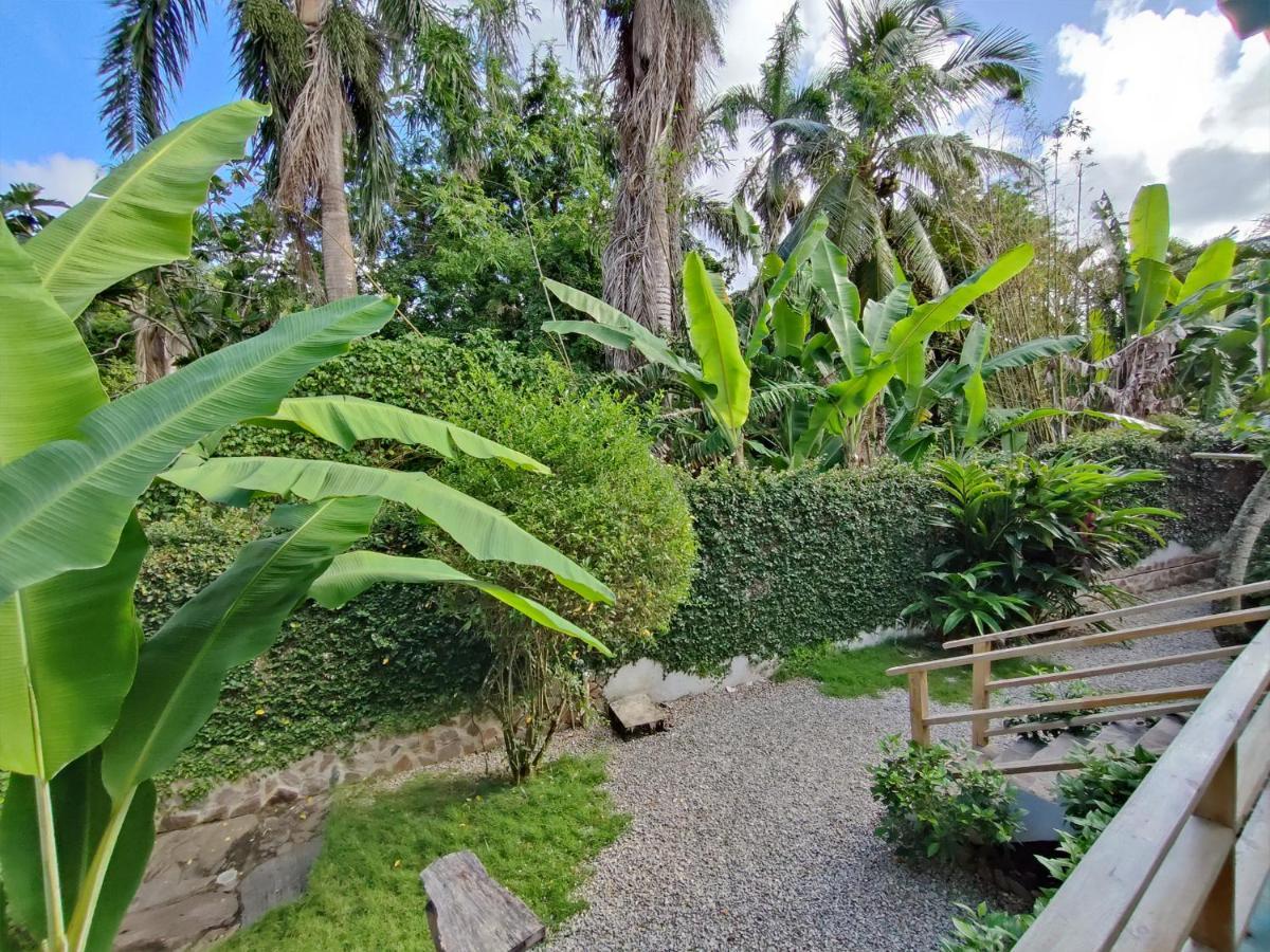 Aparthotel House Jardin Del Caribe Las Terrenas Exteriér fotografie